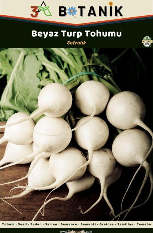 Beyaz Turp Tohumu, Yerli Ve Sürdürülebilir Tohum, 5 Gram Turp Tohumu
