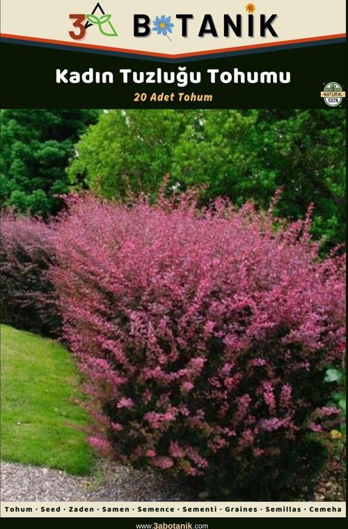 Kadın Tuzluğu Tohumu, 20 Adet Tohum, Berberis Vulgaris