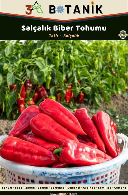 Salçalık Biber Tohumu, Yerli Ve Sürdürülebilir Tohum, 5 Gram Biber Tohum