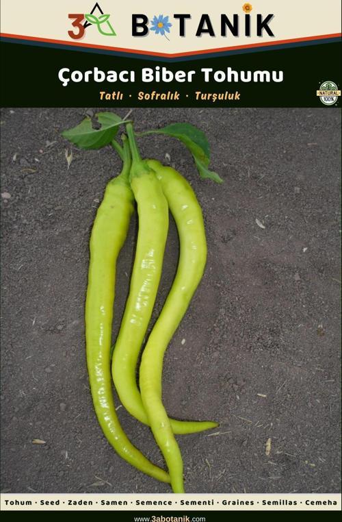 Çorbacı Biber Tohumu, Yerli Ve Sürdürülebilir Tohum, 5 Gram Biber Tohumu