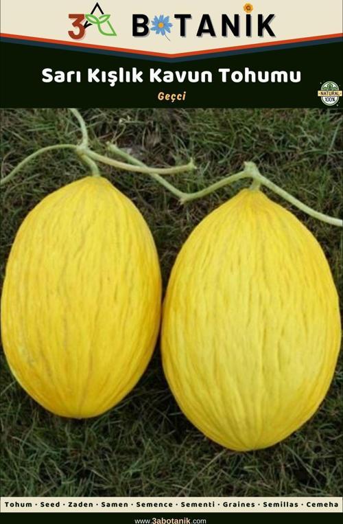 Sarı Kışlık Kavun Tohumu, Yerli Ve Sürdürülebilir Tohum, 5 Gram Kavun Tohumu