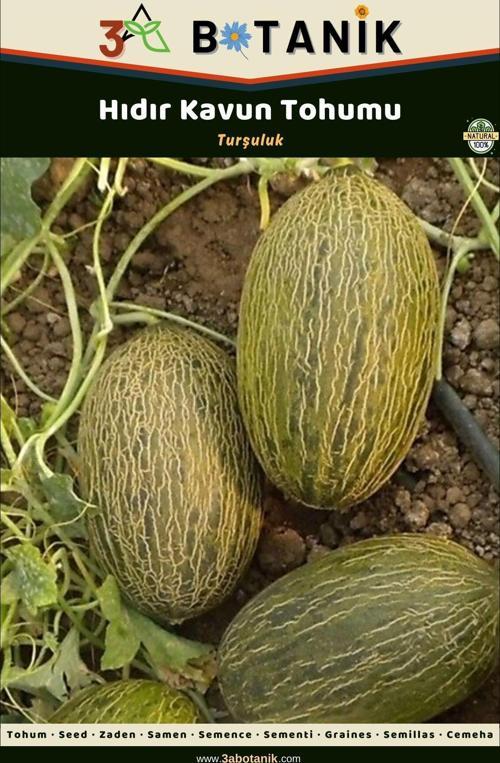 Hıdır Kavun 2 Gram/40-70 Adet Tohum