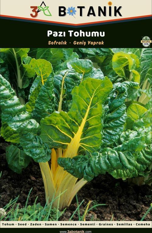 Pazı Tohumu, Yerli Ve Sürdürülebilir Tohum, 10 Gram Pazı Tohumu