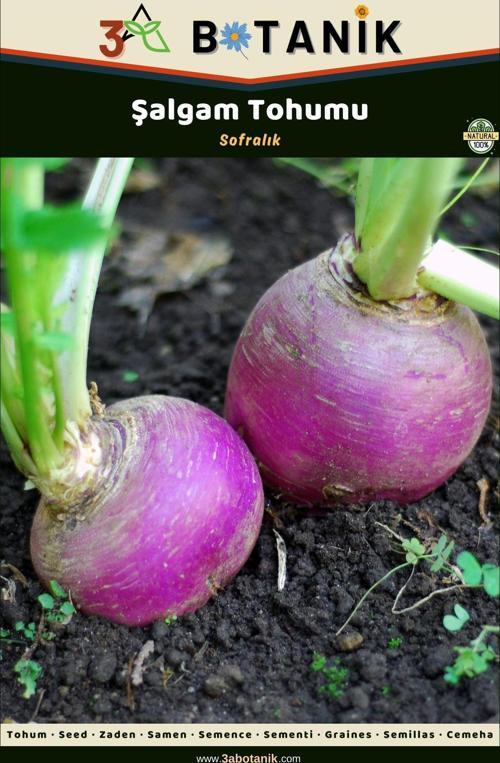 Şalgam Tohumu, Yerli Ve Sürdürülebilir Tohum, 5 Gram Şalgam Tohumu