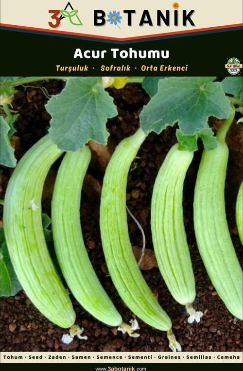 Acur Tohumu, Yerli Ve Sürdürülebilir Tohum, 2 Gram Acur Tohumu