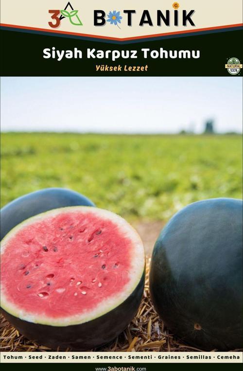 Siyah Karpuz Meyveleri Yuvarlak Aroması Güzel Karpuz Çeşidi, 2 Gram/25-50 Adet Tohum
