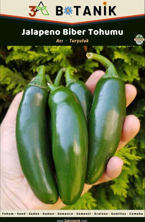 Jalapeno Biber Tohumu, Yerli Ve Sürdürülebilir Tohum, 1 Gram Biber Tohumu