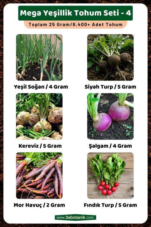 Mega Yeşillik Tohum Seti - 4, Toplam 25 Gram/6.400 Adet Yeşillik Tohumu