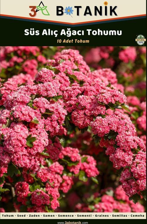 Süs Alıç Ağacı Tohumu, 10 Adet Tohum