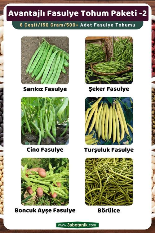 Avantajlı Fasulye Tohum Paketi-2, Toplam 6 Çeşit/150 Gram/Takribi 500 Adet Fasulye Tohumu