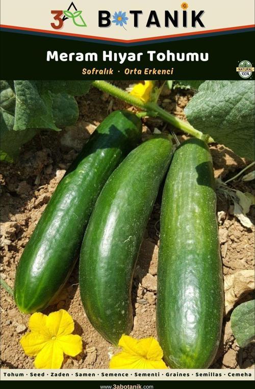 Meram Hıyar (Salatalık) Tohumu, Yerli Ve Sürdürülebilir Tohum, 5 Gram Hıyar Tohumu