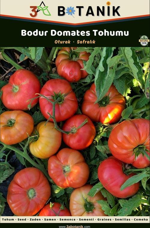 Bodur Domates Tohumu, Yerli Ve Sürdürülebilir Tohum, 3 Gram Domates Tohumu