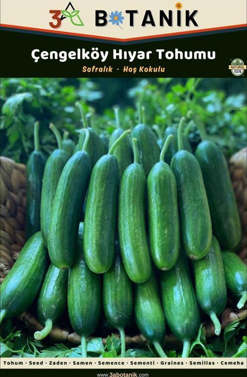 Çengelköy Hıyar (Salatalık) Tohumu, Yerli Ve Sürdürülebilir Tohum, 5 Gram Hıyar Tohumu