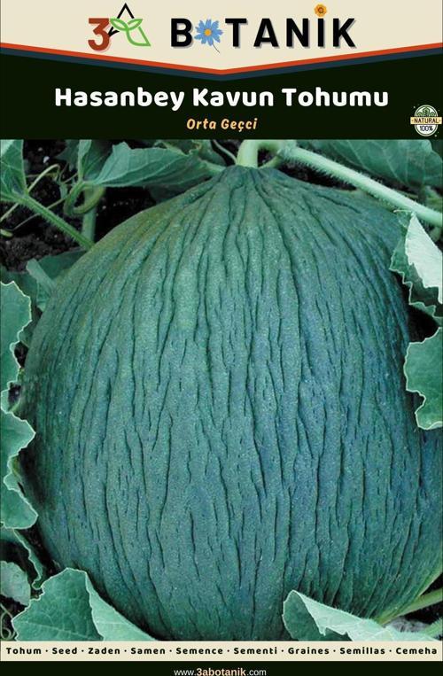 Hasanbey Kavun Tohumu, Yerli Ve Sürdürülebilir Tohum, 5 Gram Kavun Tohumu