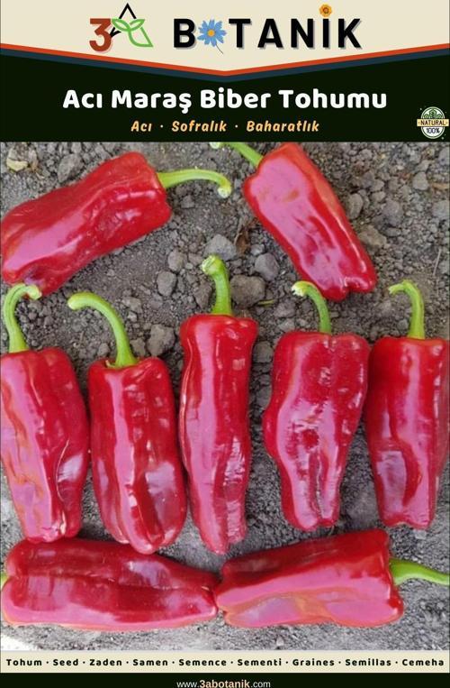 Acı Maraş Biber Tohumu, Yerli Ve Sürdürülebilir Tohum, 2 Gram/240-300 Adet Tohum