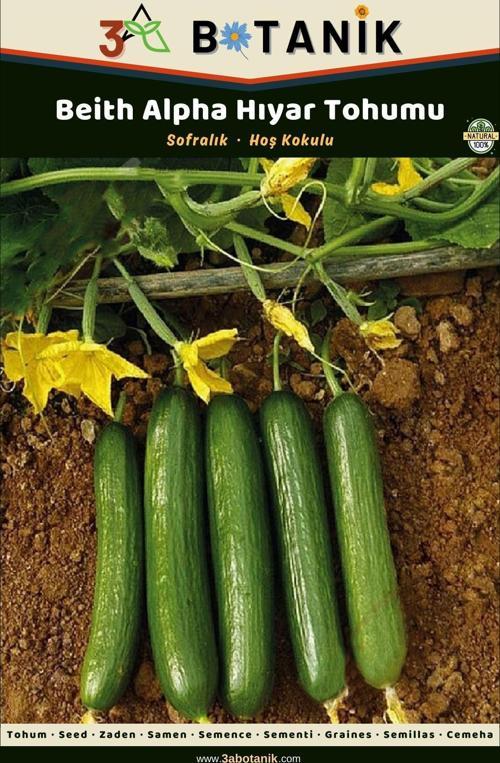 Beith Alpha Hıyar (Salatalık) Tohumu, Yerli Ve Sürdürülebilir Tohum, 5 Gram Hıyar Tohumu