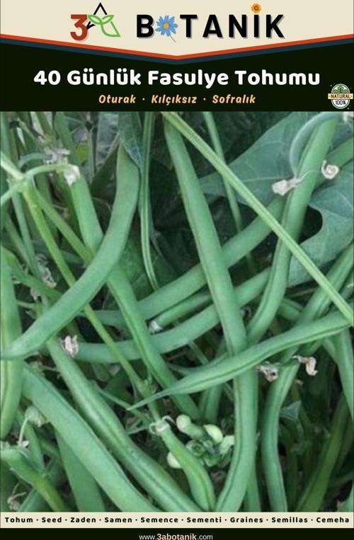 40 Günlük Oturak Fasulye Tohumu, Yerli Ve Sürdürülebilir Tohum, 10 Gram Fasulye Tohumu