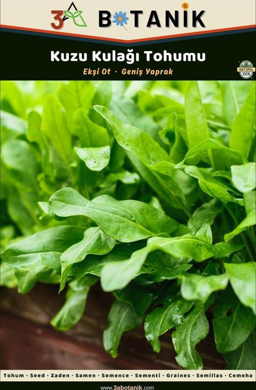 Kuzu Kulağı/Ekşi Ot Tohumu, Yerli Ve Sürdürülebilir Tohum, 3 Gram Kuzu Kulağı Tohumu
