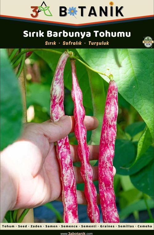 Barbunya Tohumu, Yerli Ve Sürdürülebilir Tohum