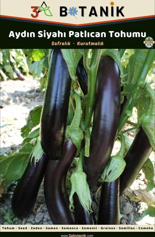 Aydın Siyahı Patlıcan Tohumu, Meyveleri Uzun Ve Az Çekirdekli Çeşit, 2 Gram/400-500 Adet Tohum