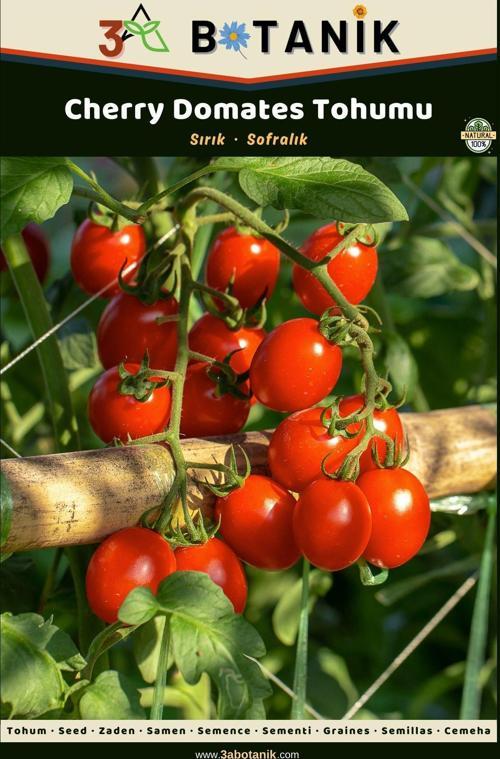 Cherry Domates Tohumu, Sofralık Küçük Lezzetli Bir Çeşit, 1 Gram/250-300 Adet Tohum