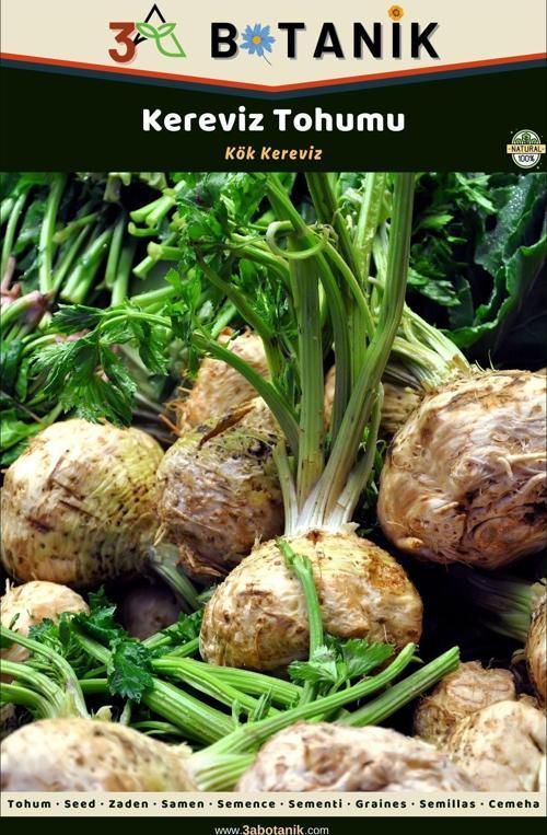 Kereviz Tohumu, 2 Gram/440-500 Adet Tohum
