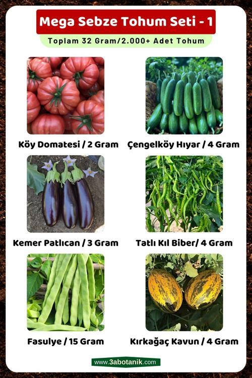 Mega Sebze Tohum Seti - 1, Toplam 32 Gram/2.000 Adet Sebze Tohumu