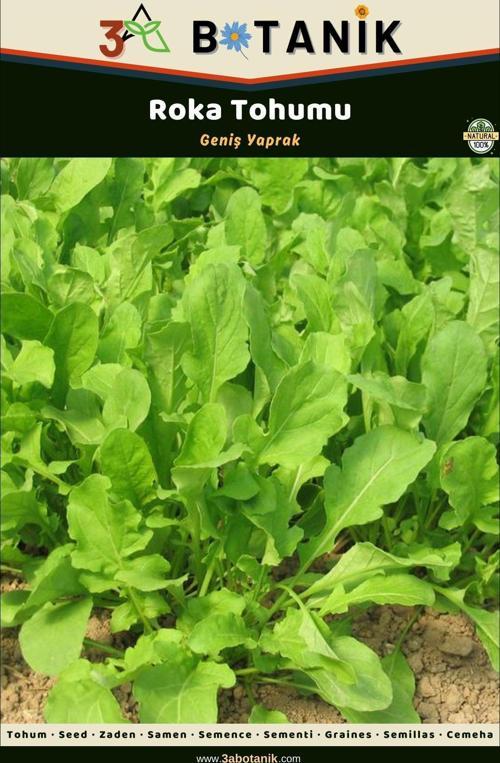 Geniş Yaprak Roka Tohumu, Yerli Ve Sürdürülebilir Tohum, 5 Gram Roka Tohumu