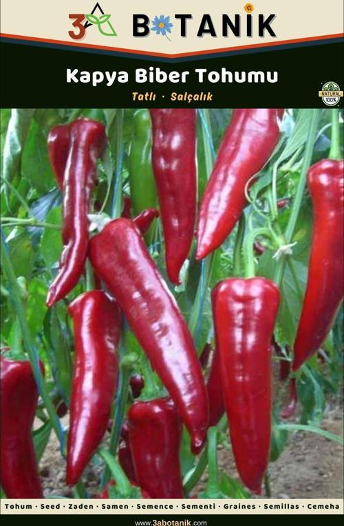 Kapya Biber Tohumu, Kızartmalık Közlemelik Ve Salçalık Biber Çeşidi, 2 Gram/240-300 Adet Tohum