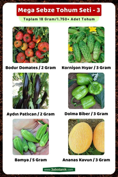 Mega Sebze Tohum Seti - 3, Toplam 18 Gram/1.750 Adet Sebze Tohumu