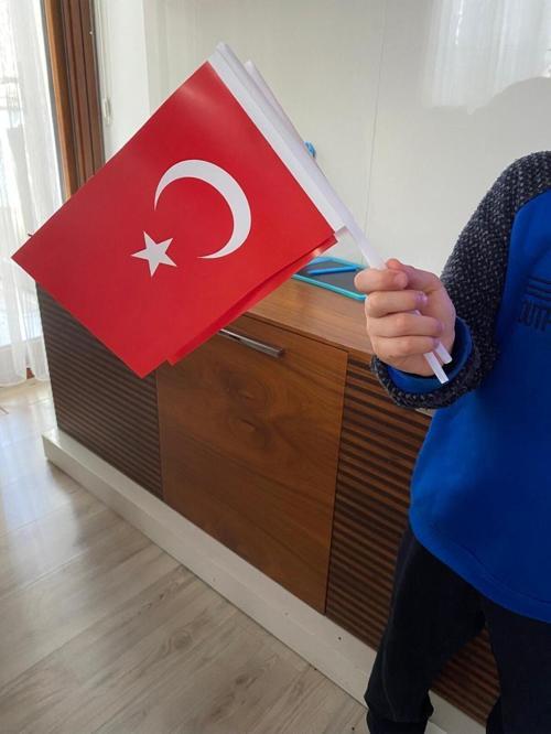 Saplı Kağıt Türk Bayrağı 10 Adet 13X21 Ebatlarında