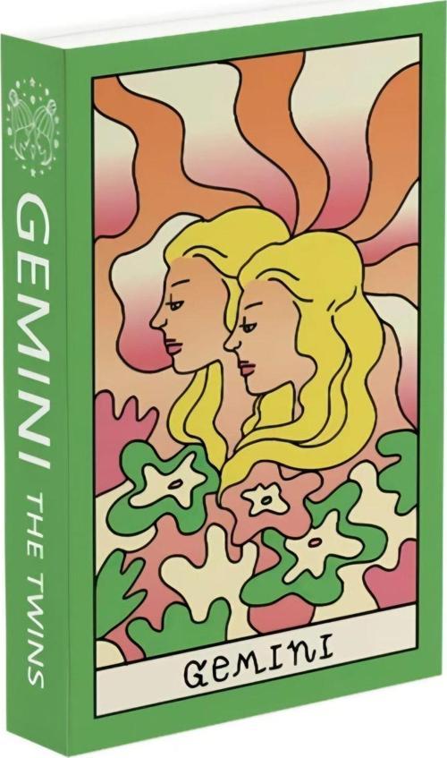 516 Gemını The Twıns Kutu