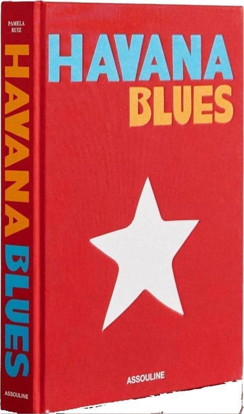 260 Havana Blues Dekoratif Kitap Kutusu