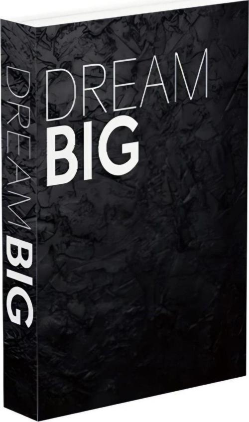 564 Dream Bıg