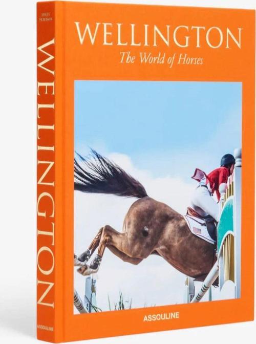 2025 669 Wellıngton