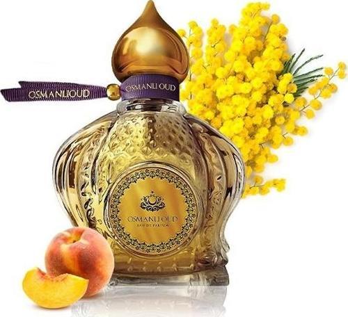 Warriors Aysel Edp 65 ML Kadın Parfümü – Meyveli Çiçeksi – 4445