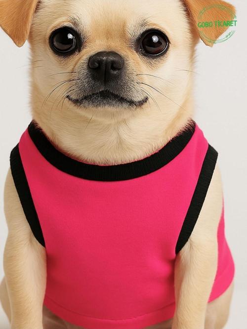 Ayıcık Aksesuarlı Fosforlu Pembe Kedi Köpek Kıyafeti Elbisesi Siyah Kollu