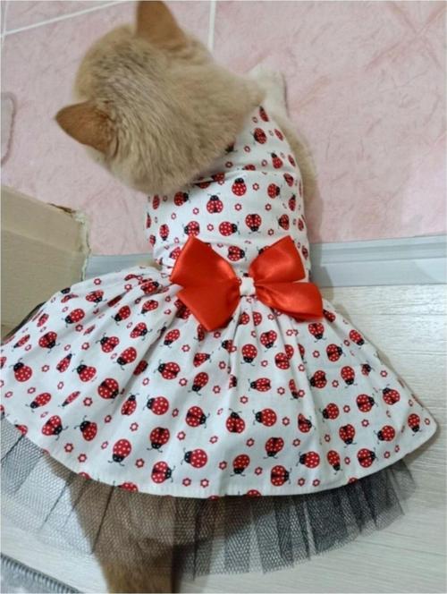 Uğur Böceği Desenli Papyonlu Kedi Ve Köpek Kıyafeti Elbisesi