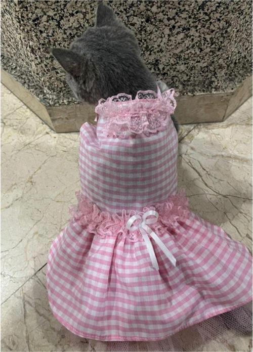Pembe Beyaz Kareli Kurdeleli Kedi Köpek Kıyafeti Elbisesi