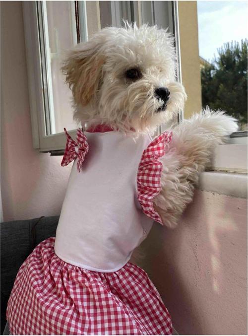 Pembe Kareli Papyonlu Dişi Kedi Köpek Kıyafeti Elbisesi