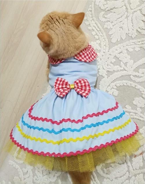 Rengarenk Festival Temalı Renkli Papyonlu Tüllü Kedi Köpek Kıyafeti Elbisesi