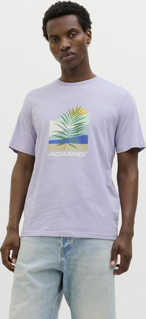 Jjbarbados Tee Ss Crew Neck Erkek Mor Tshirt 12269416-19