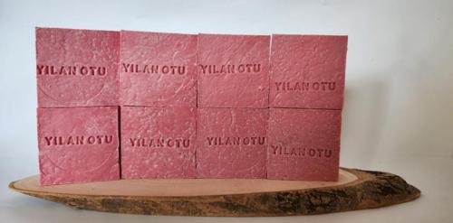 Büro Ev Ofis Hediyesi için 8ADET Yılan Otu Özlü Doğal El Yapımı Sabun Mini Seti