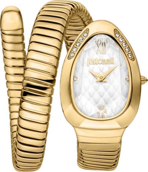 JUST CAVALLI JC1L223M0025Kadın Kol Saati