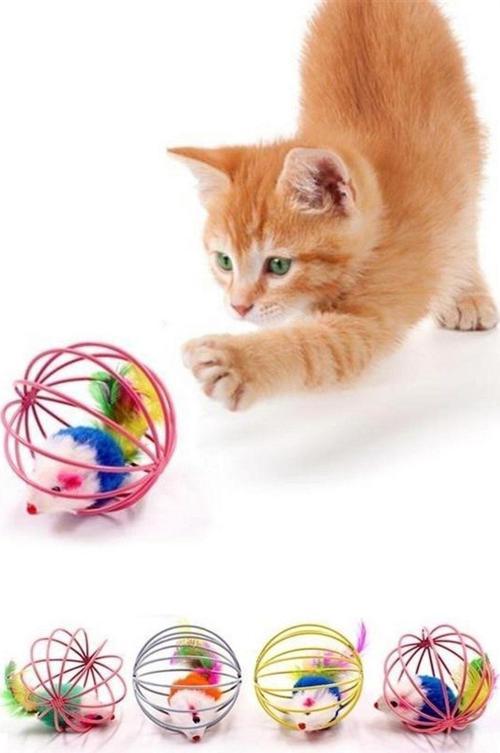 Renkli Metal Kafesli Peluş Fareli Kedi Köpek Oyuncağı Oyun Topu 6 Cm