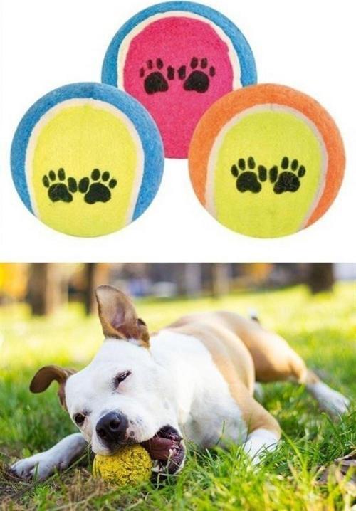 3Lü Renkli Desenli Tenis Topu Kedi Köpek Oyuncağı