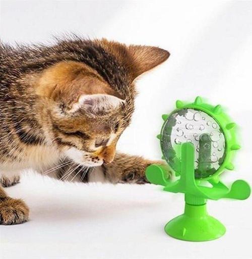 Vantuzlu Zilli İnteraktif Dönebilen Mama Kaplı Renkli Eğlenceli Eğitici Kedi Oyuncağı