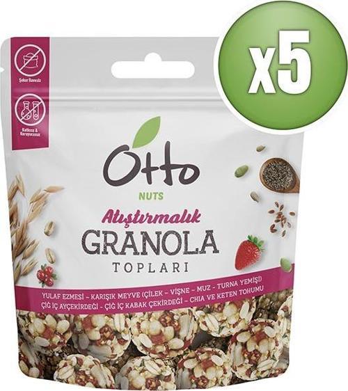 Muzlu Çilekli Vişneli Turna Yemişli Granola Topları 5 x 25 g