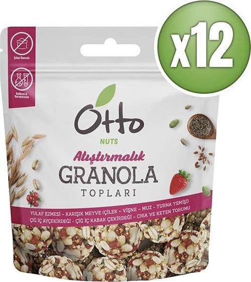 Muzlu Çilekli Vişneli Turna Yemişli Granola Topları 12 x 25 g