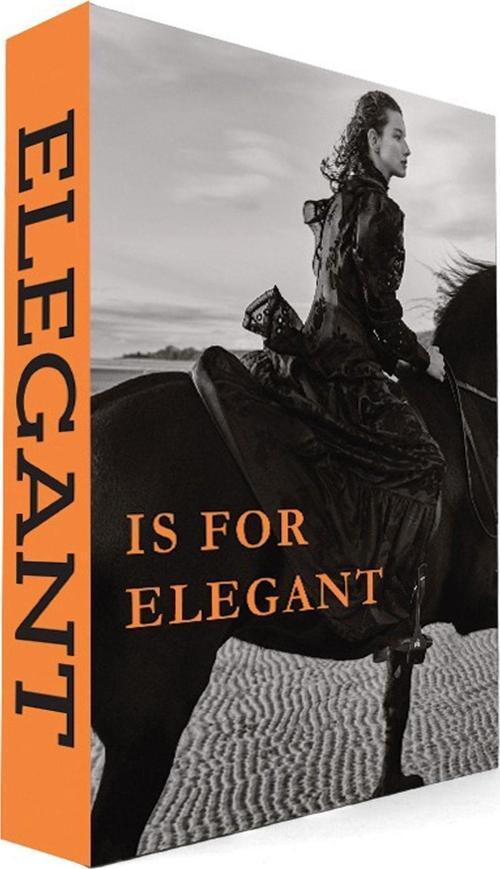 078 Elegant Dekoratif Kitap Kutusu